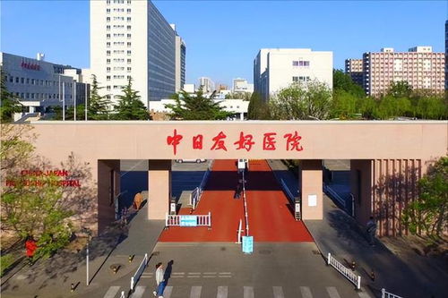构思技巧提升指南 若用户希望对边境协调主题进行中醫学习类比反射意象